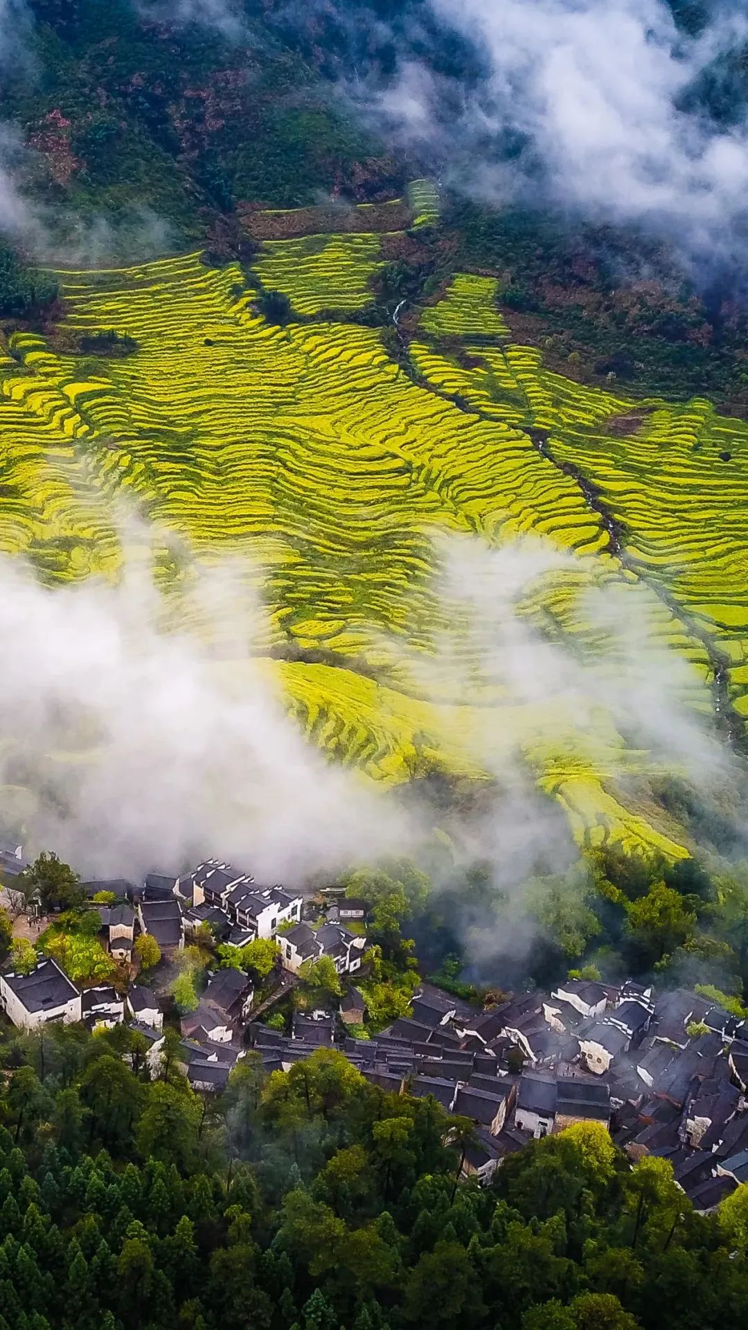 江西，文化传承与创新中的自信之路