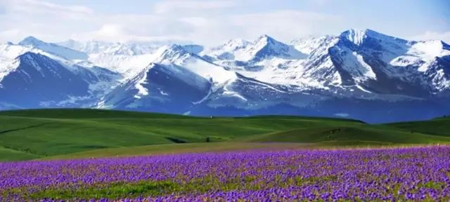 新疆，友情与家的温暖甜蜜日常