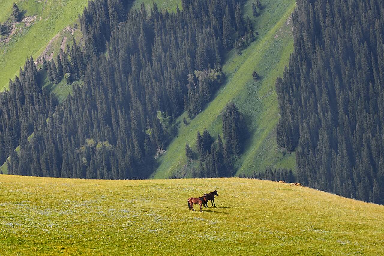 新疆，心中永恒的美丽画卷🌄🌸